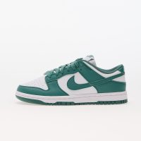 20240423102050_nike_dunk_low_next_nature_gynaikeia_sneakers_white_bicoastal_dd1873_107